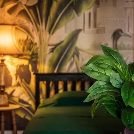 The Tropical House Daire *