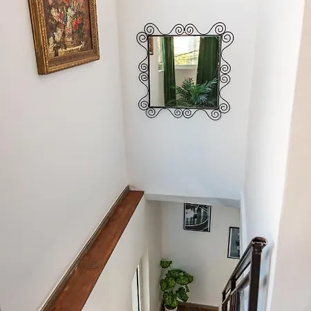 The Tropical House