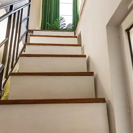 The Tropical House Daire *