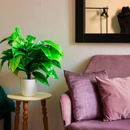 公寓 The Tropical House *