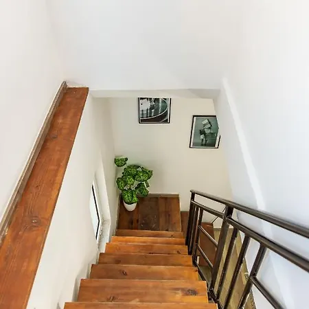 The Tropical House Apartment