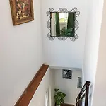 The Tropical House