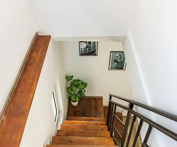 The Tropical House Appartement